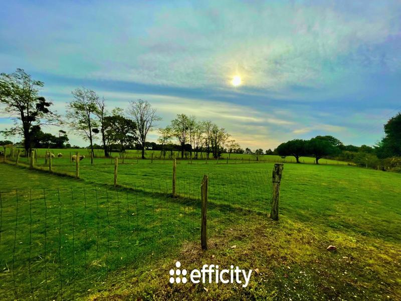 Maison - 252 m² - 8 pièces