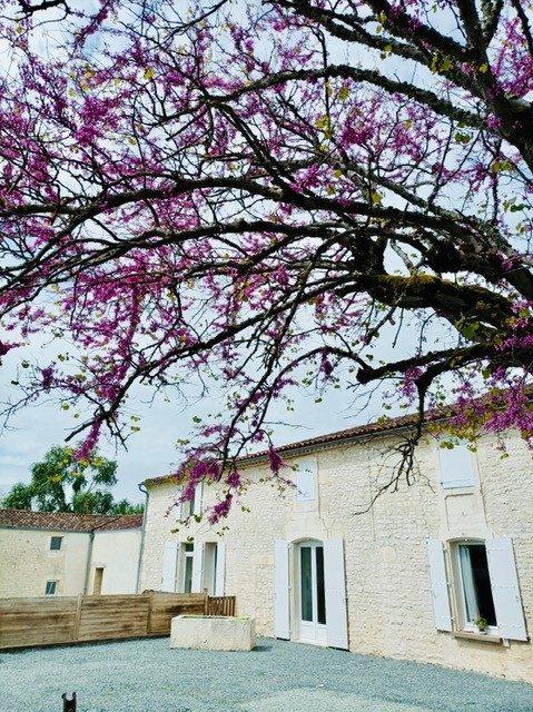 Maison - 300 m² - 11 pièces