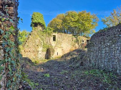 Terrain constructible - 8 085 m²