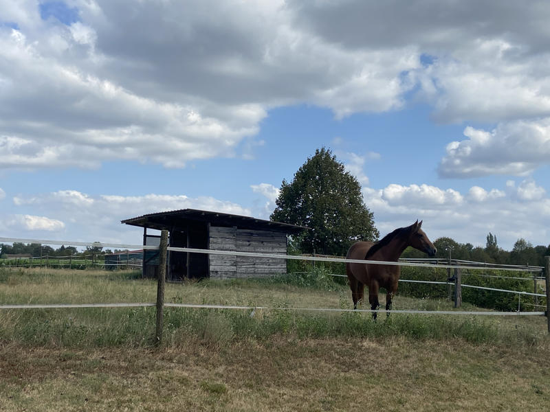 Propriété - 600 m² - 12 pièces
