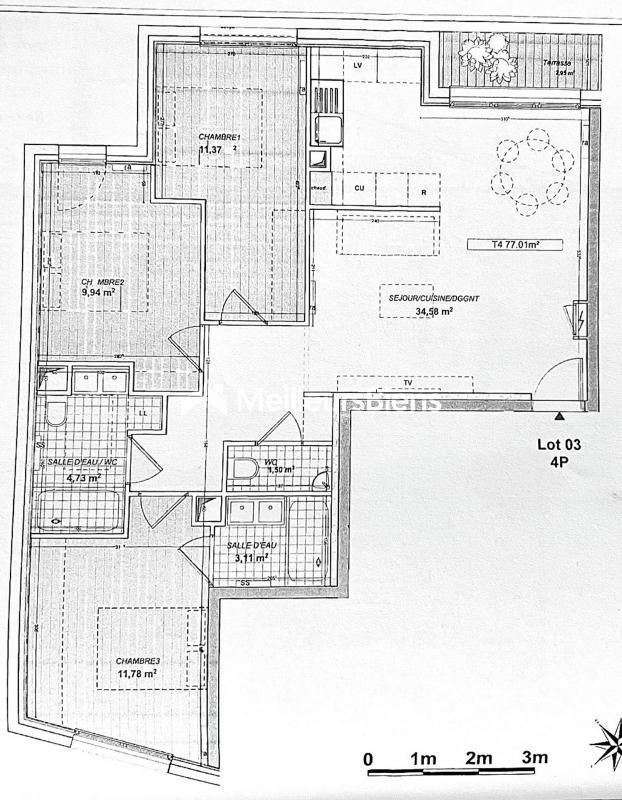 Appartement - 77 m² - 4 pièces