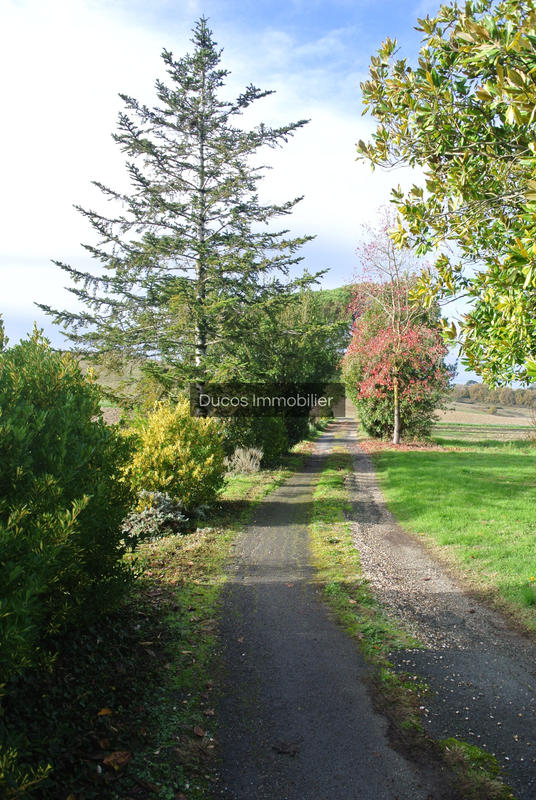 Maison - 244 m² - 7 pièces