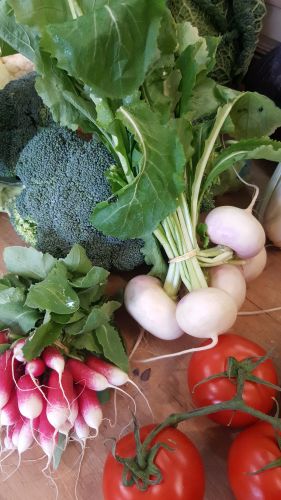 la ferme provençale