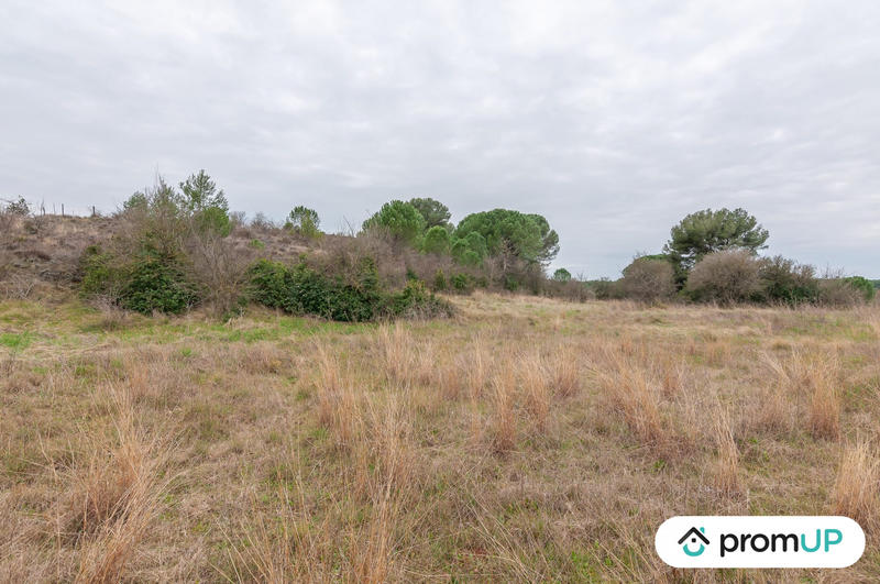 Terrain agricole - 10 601 m²