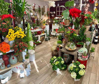 Fonds de commerce - 60 m²