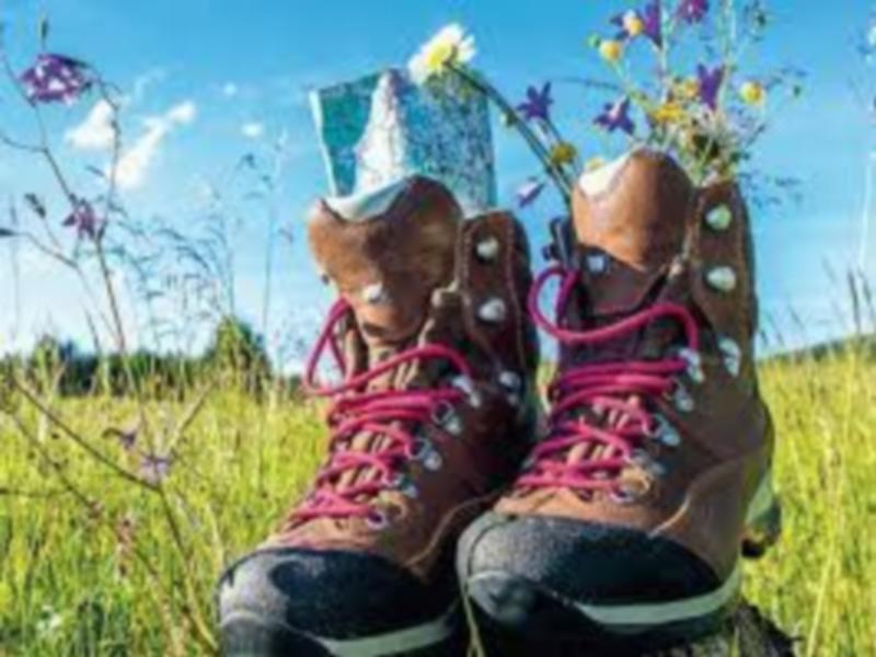 Randonnée pédestre - le Mesnil Germain