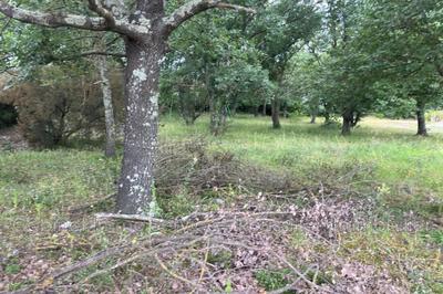 Terrain constructible - 563 m²