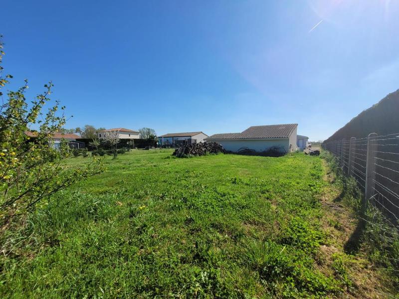 Terrain constructible - 1 242 m²