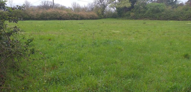 Terrain constructible - 5 540 m²