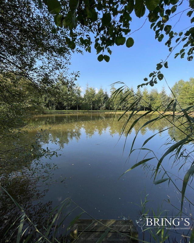 Terrain de loisirs - 47 800 m²