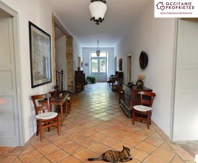 Maison de maîtres - 495 m² - 9 pièces