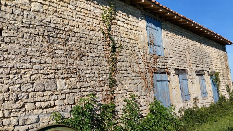 Maison ancienne - 250 m² - 2 pièces