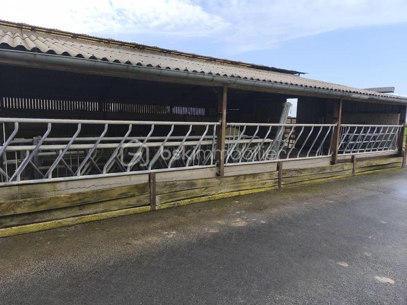 Corps de ferme - 100 m² - 1 pièce