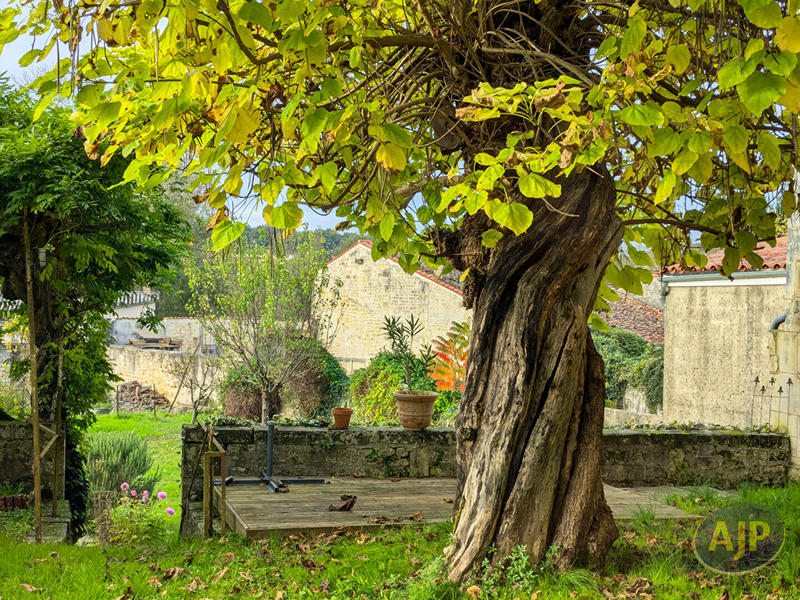 Maison - 230 m² - 7 pièces