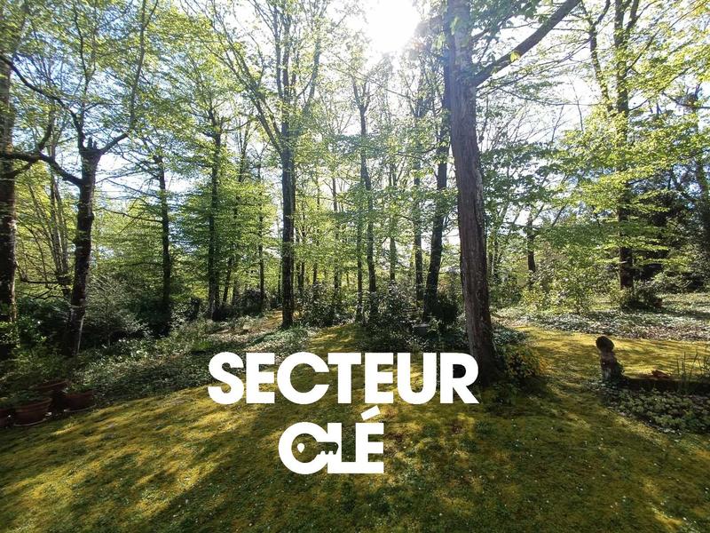 Maison - 230 m² - 5 pièces