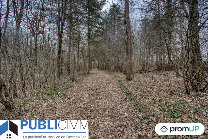 Terrain agricole - 650 000 m²