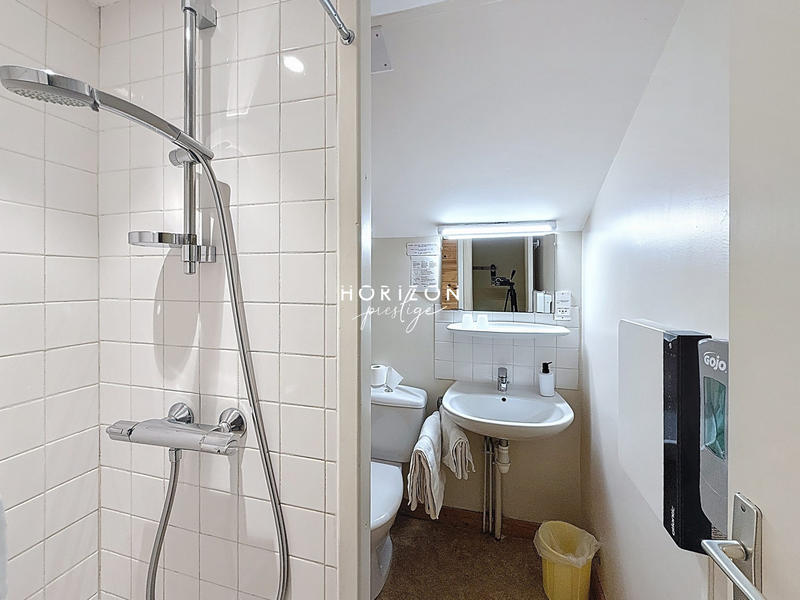 Maison ancienne - 400 m² - 15 pièces