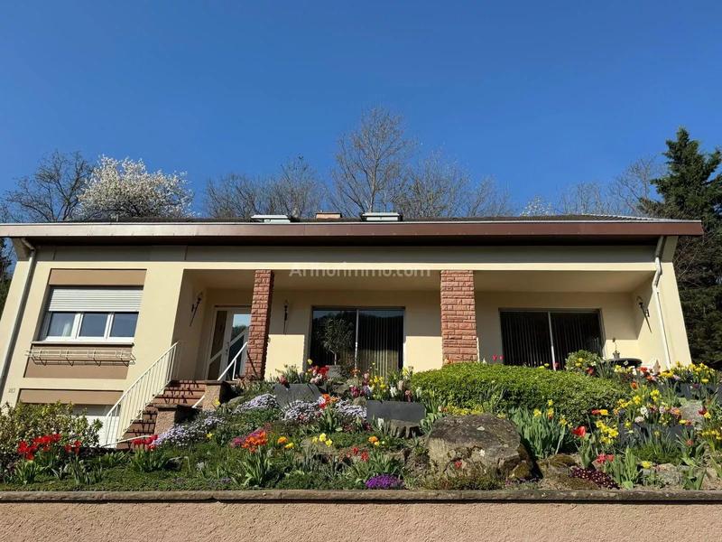 Maison - 234 m² - 8 pièces