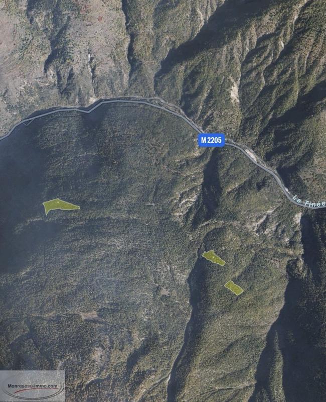 Terrain - 41 965 m²