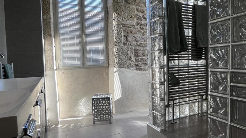 Hôtel particulier - 583 m² - 14 pièces