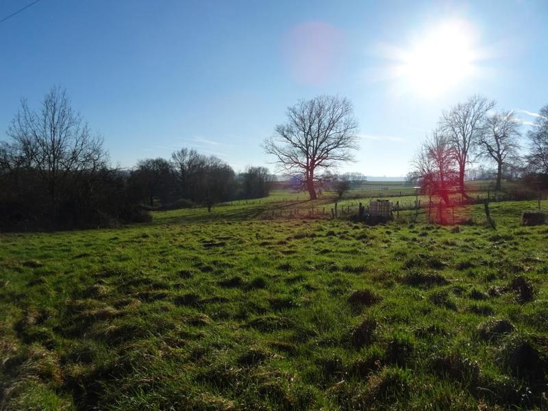 Terrain constructible - 1 850 m²