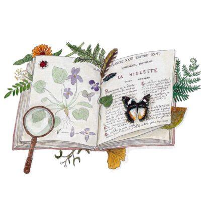 Atelier créatif : Dessinez votre carte postale avec Alice Fauconnier