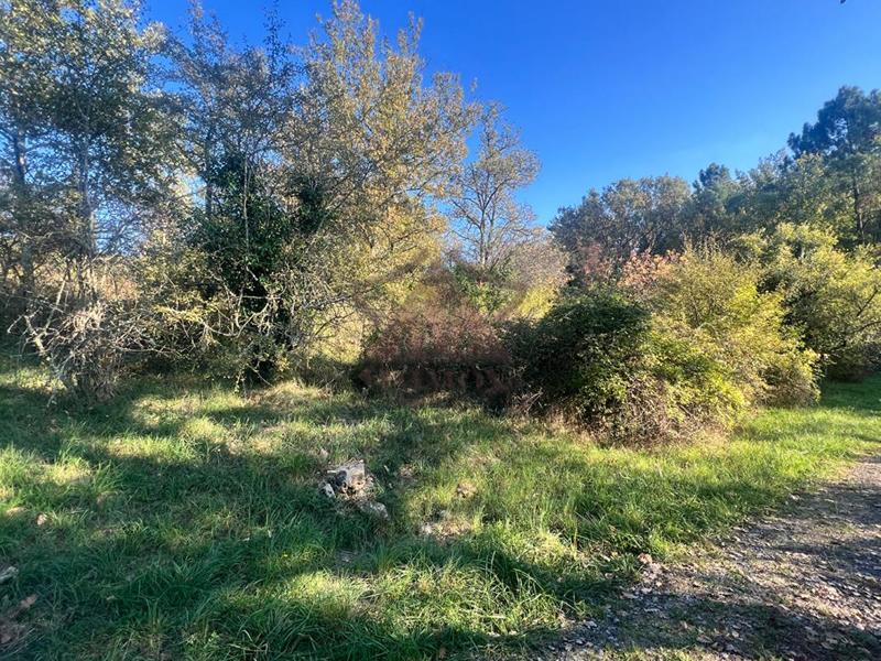 Terrain constructible - 6 000 m²