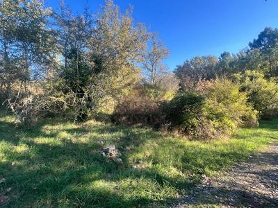 Terrain constructible - 6 000 m²