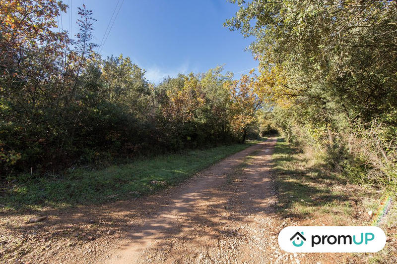 Terrain agricole - 9 625 m²