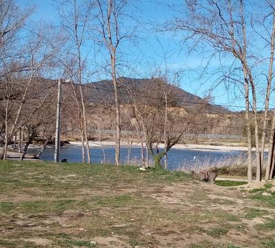 Terrain de loisirs - 8 000 m²