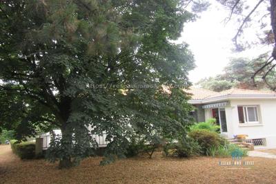 Propriété - 276 m² - 6 pièces