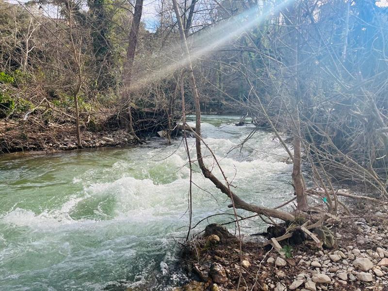 Maison - 184 m² - 7 pièces