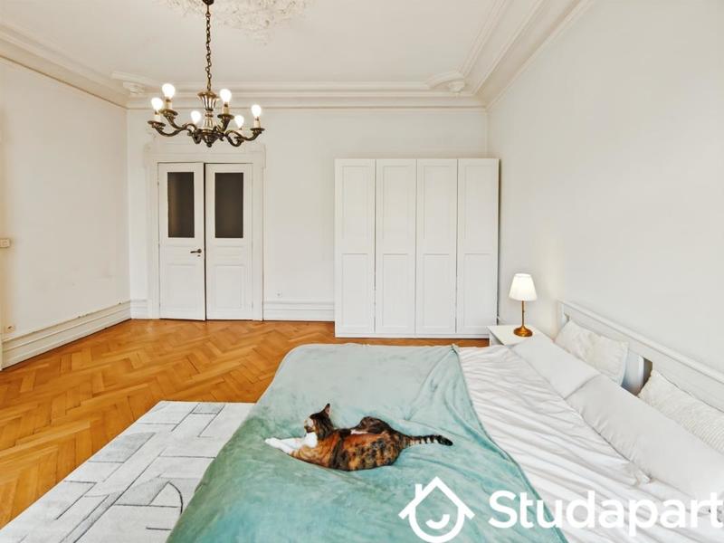 Chambre - 16 m² - 1 pièce