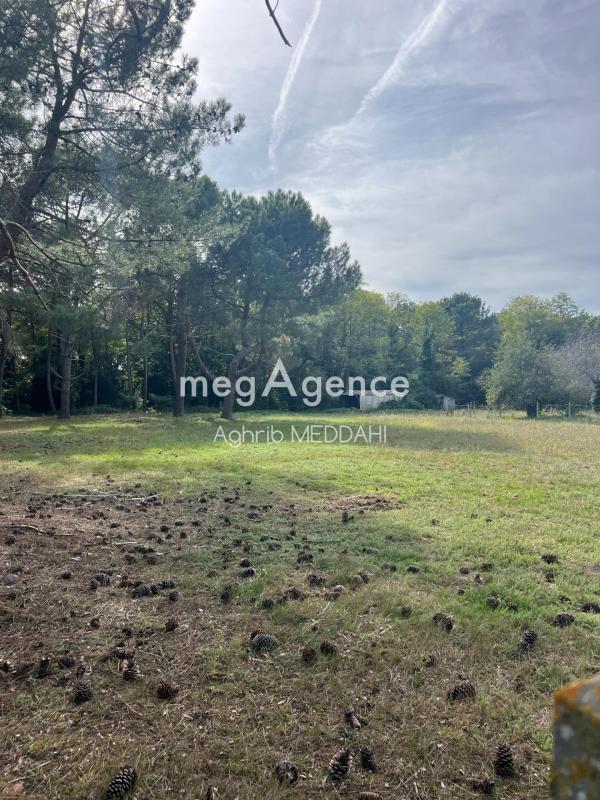Terrain constructible - 235 m²