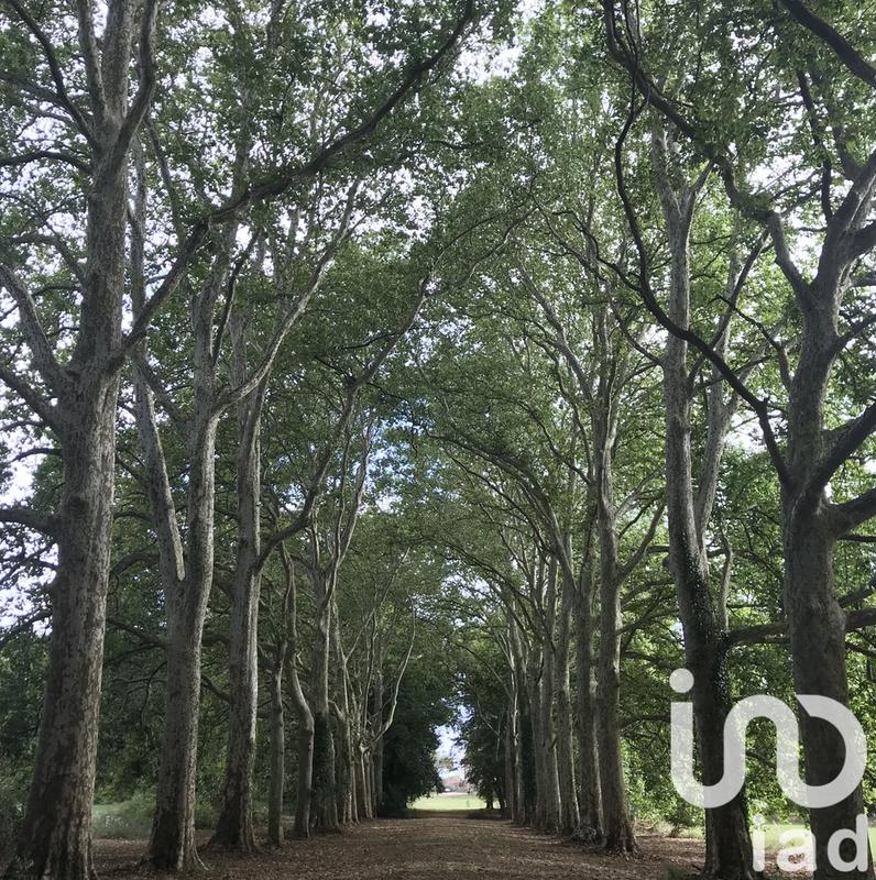 Château - 4 200 m² - 72 pièces