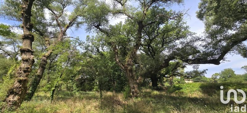 Maison - 75 m² - 5 pièces