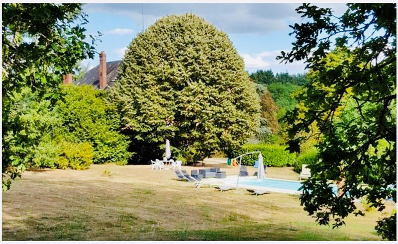 Manoir - 300 m² - 11 pièces