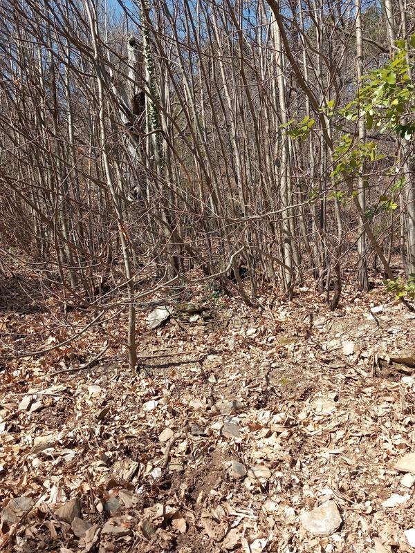 Maison de village - 60 m² - 2 pièces