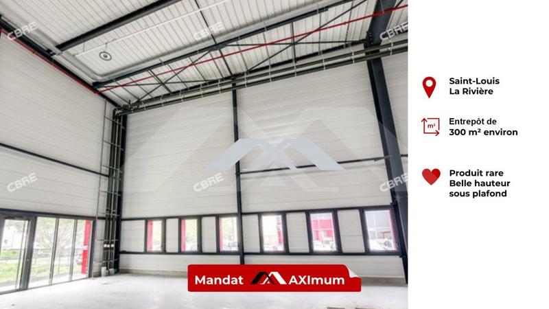 Entrepôt - 300 m²