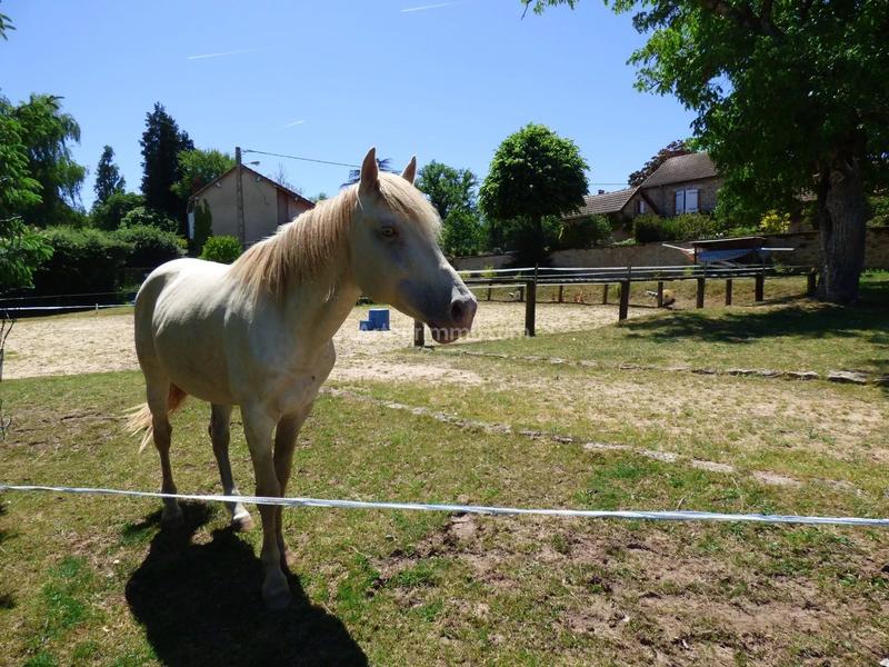 Maison - 133 m² - 8 pièces