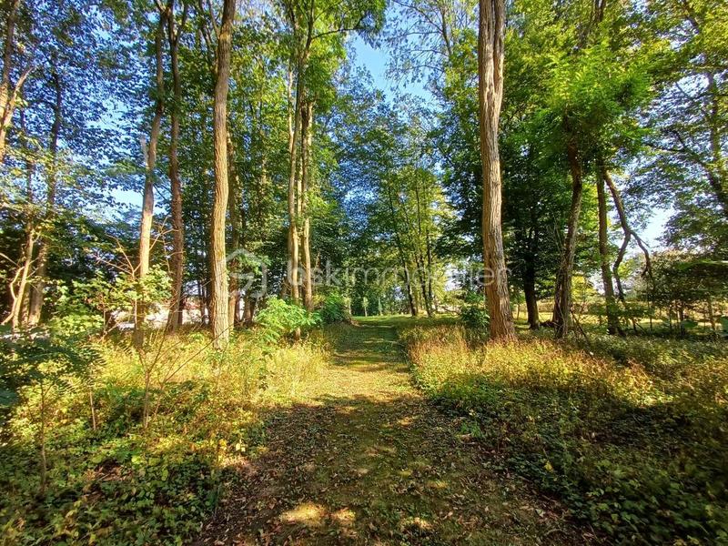 Maison bourgeoise - 233 m² - 8 pièces