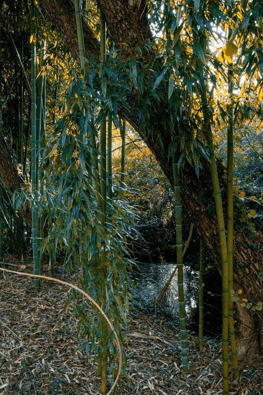 Maison - 232 m² - 7 pièces