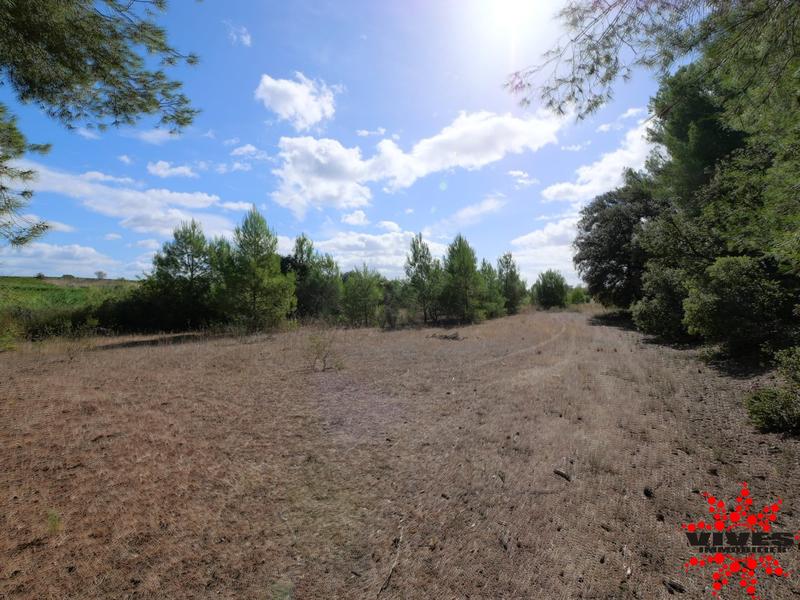 Terrain de loisirs - 23 990 m²