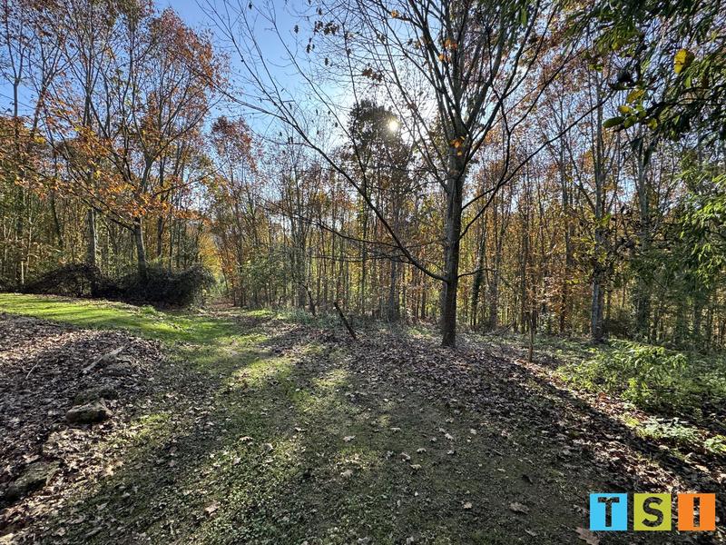 Maison de domaine - 340 m² - 10 pièces