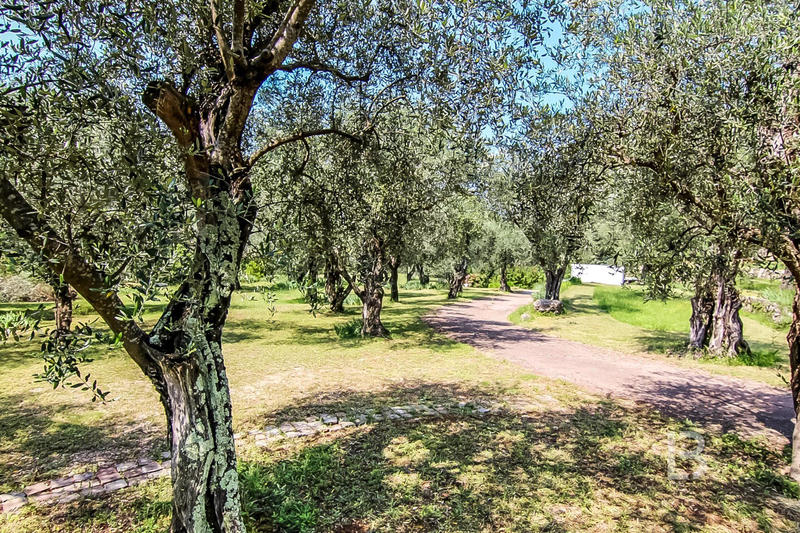 Maison - 260 m² - 11 pièces