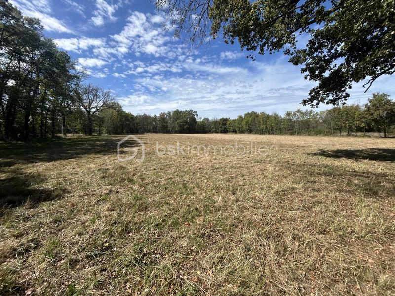 Maison - 167 m² - 6 pièces