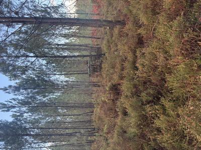 Terrain - 40 400 m²