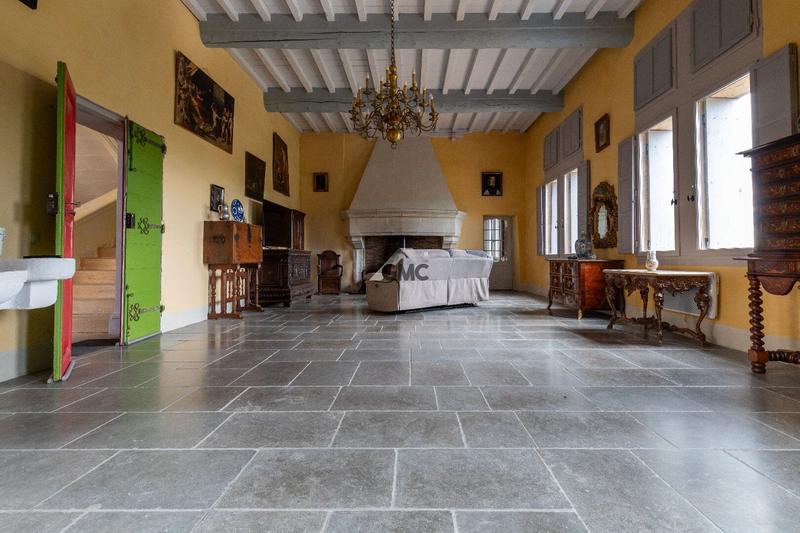 Château - 476 m² - 9 pièces