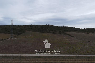 Terrain agricole - 23 110 m²