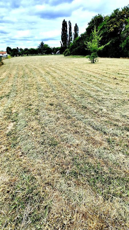 Propriété - 220 m² - 8 pièces